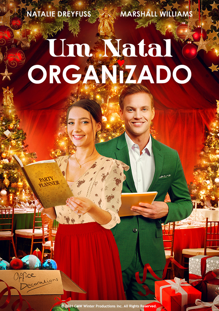 Capa Um Natal Organizado