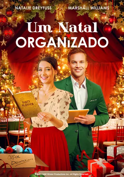 Capa Um Natal Organizado