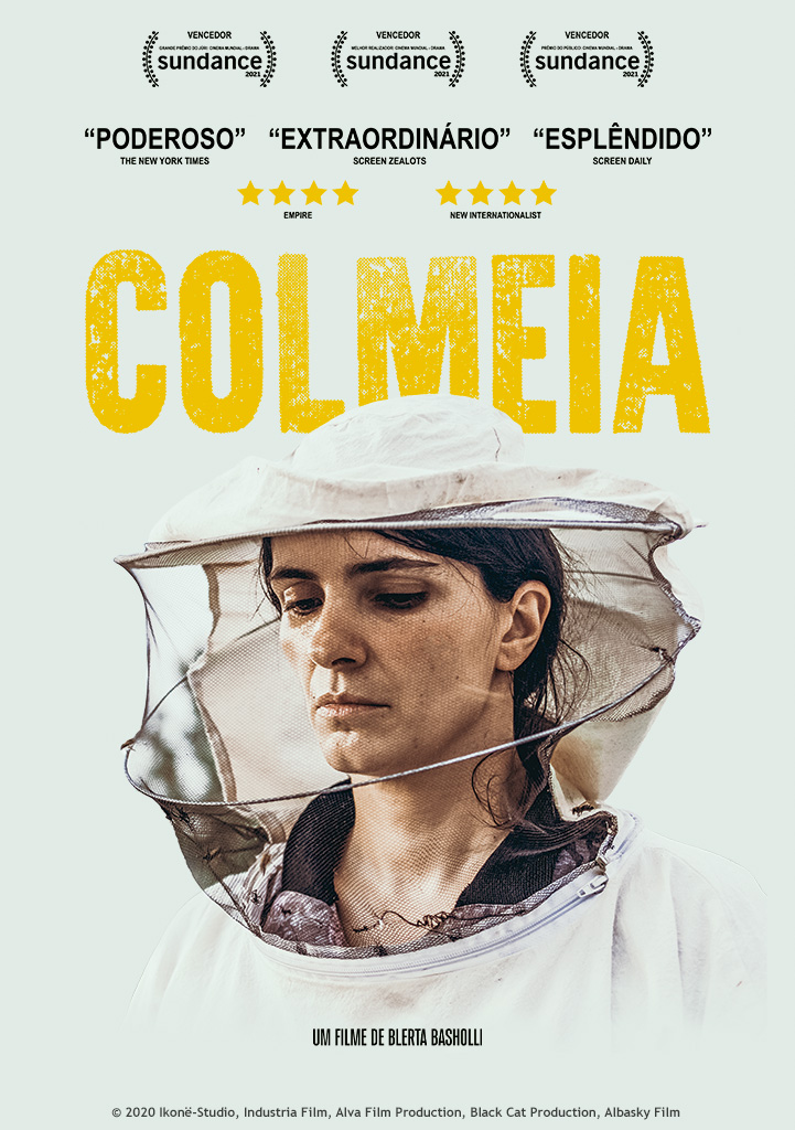 Capa Colmeia