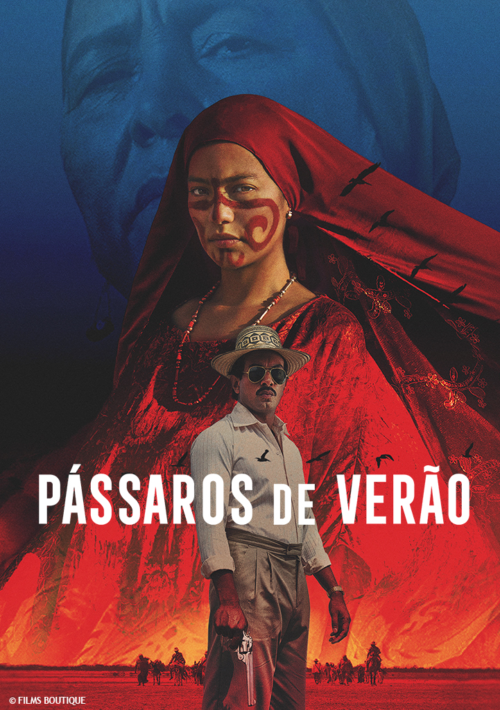 Capa Pássaros De Verão