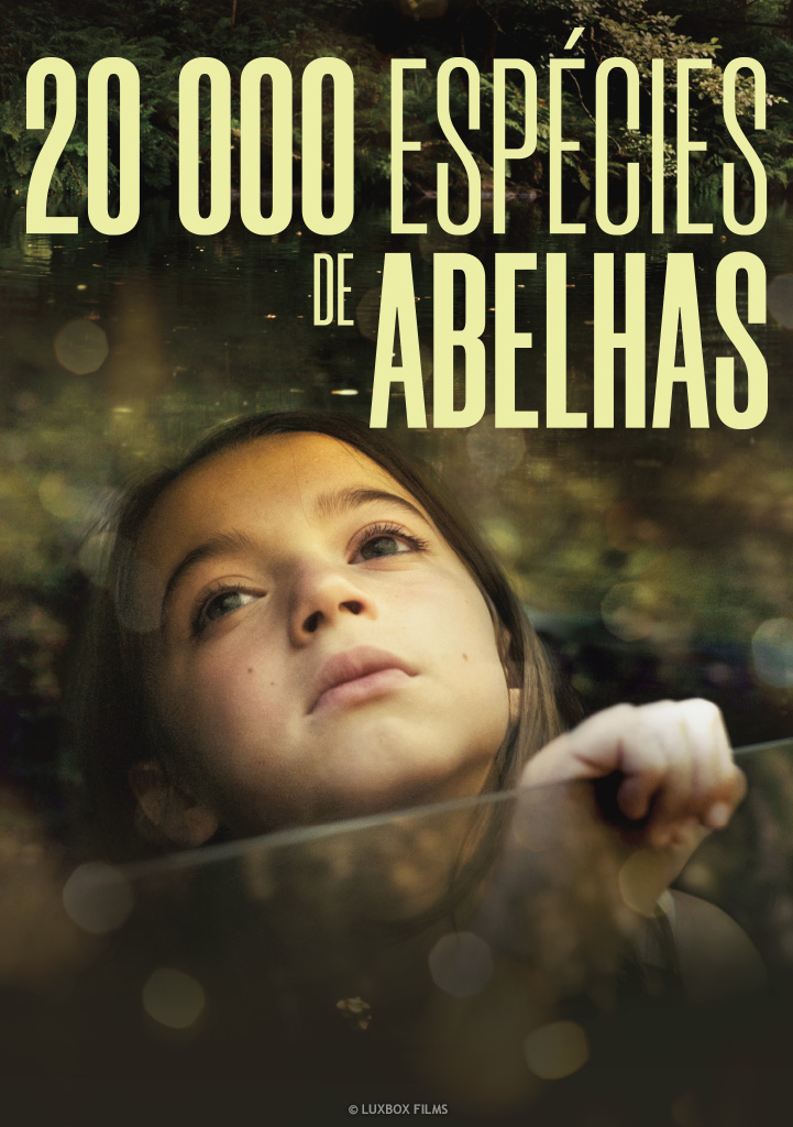 Capa 20 000 Espécies de Abelhas