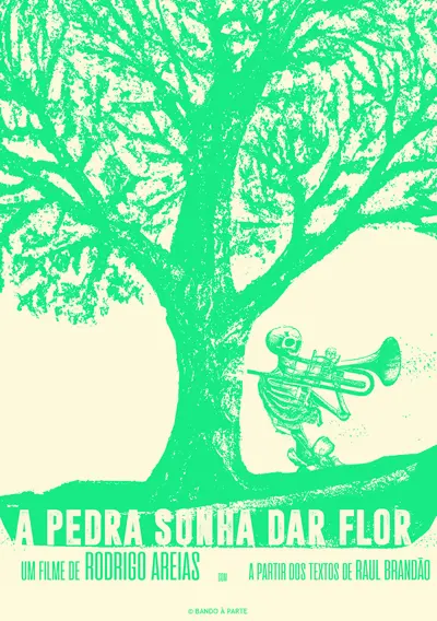 Capa A Pedra Sonha Dar Flor