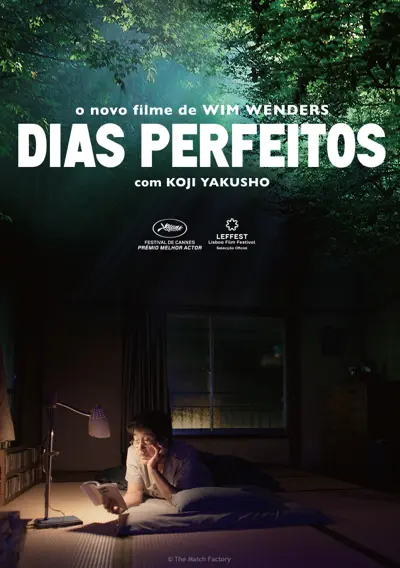Capa Dias Perfeitos