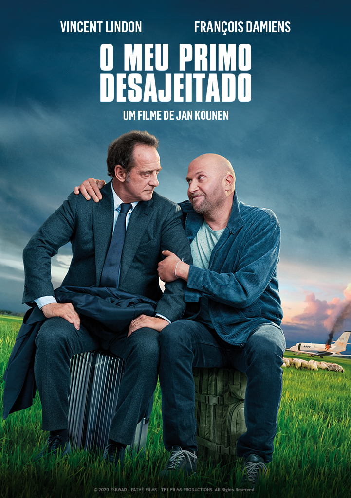 Capa O Meu Primo Desajeitado
