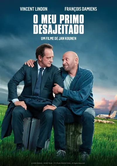 Capa O Meu Primo Desajeitado
