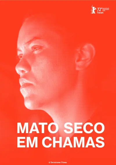 Capa Mato Seco em Chamas