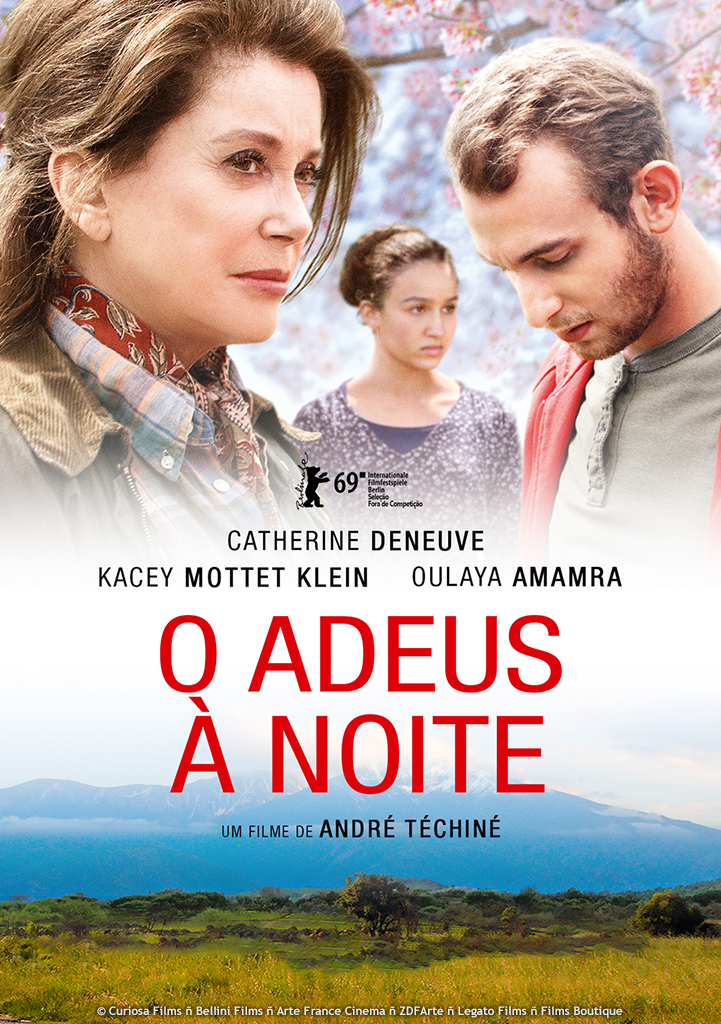 Capa O Adeus À Noite