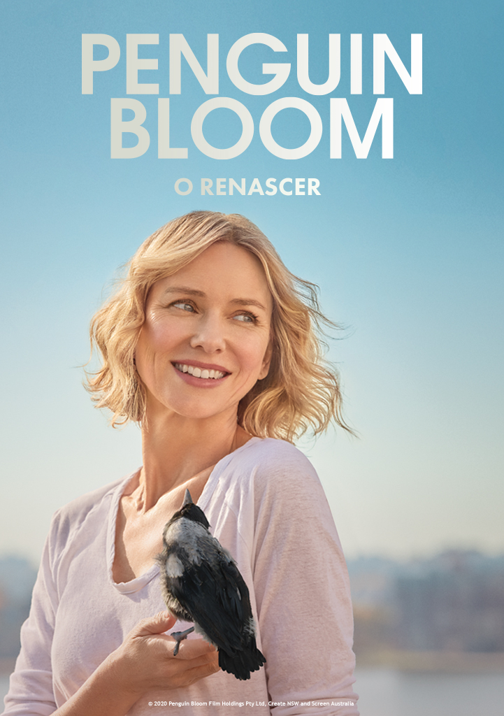 Capa Penguin Bloom – O Renascer