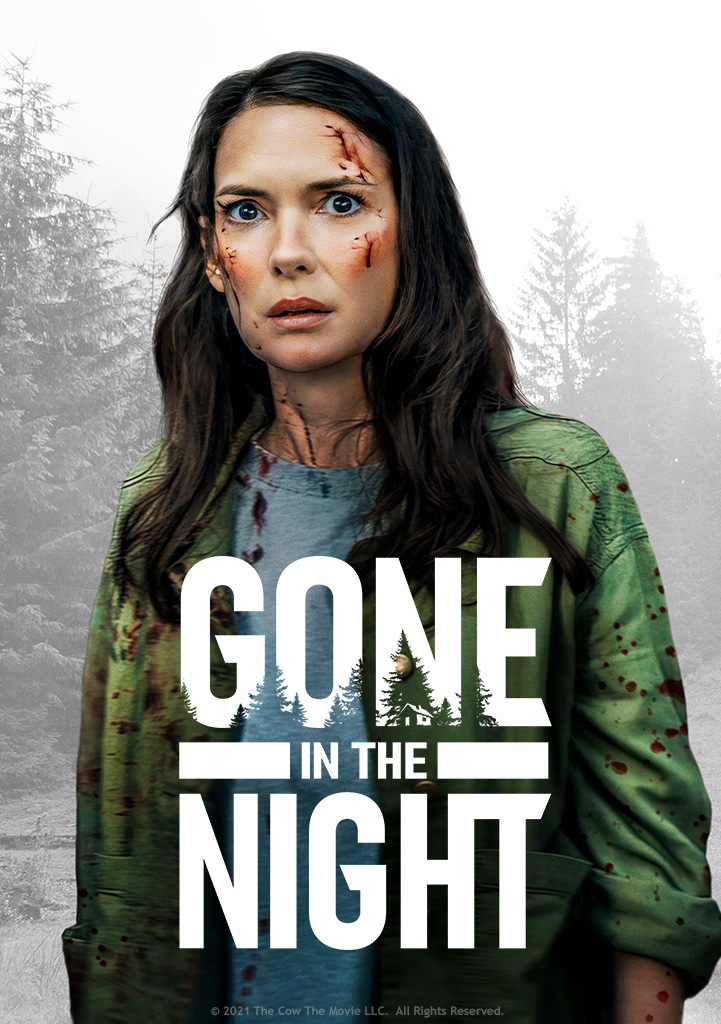 Capa Gone in The Night