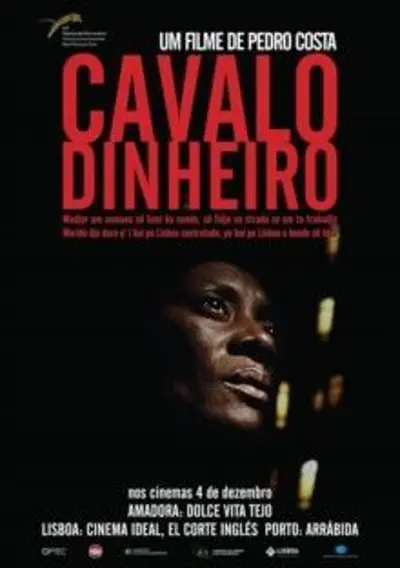 Capa Cavalo Dinheiro