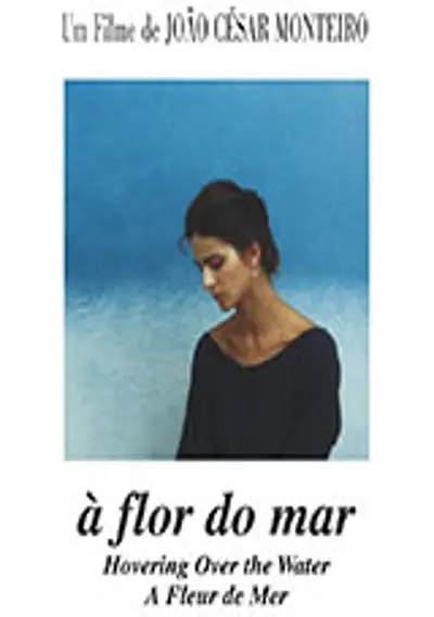 Capa À Flor Do Mar