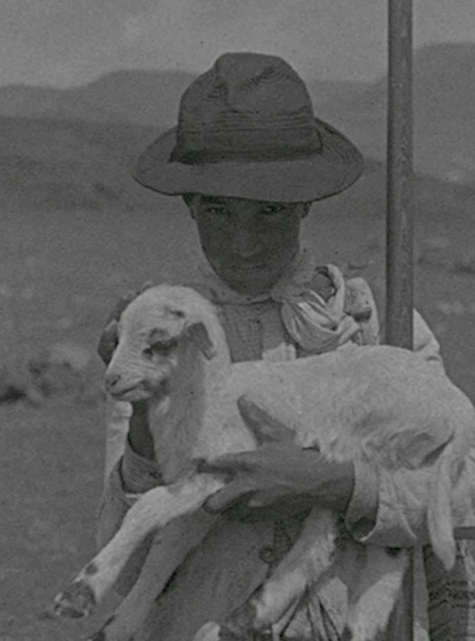 Capa Dos Nomes das Cabras