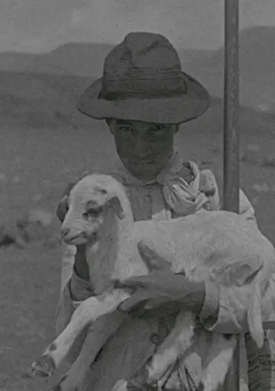 Capa Dos Nomes das Cabras