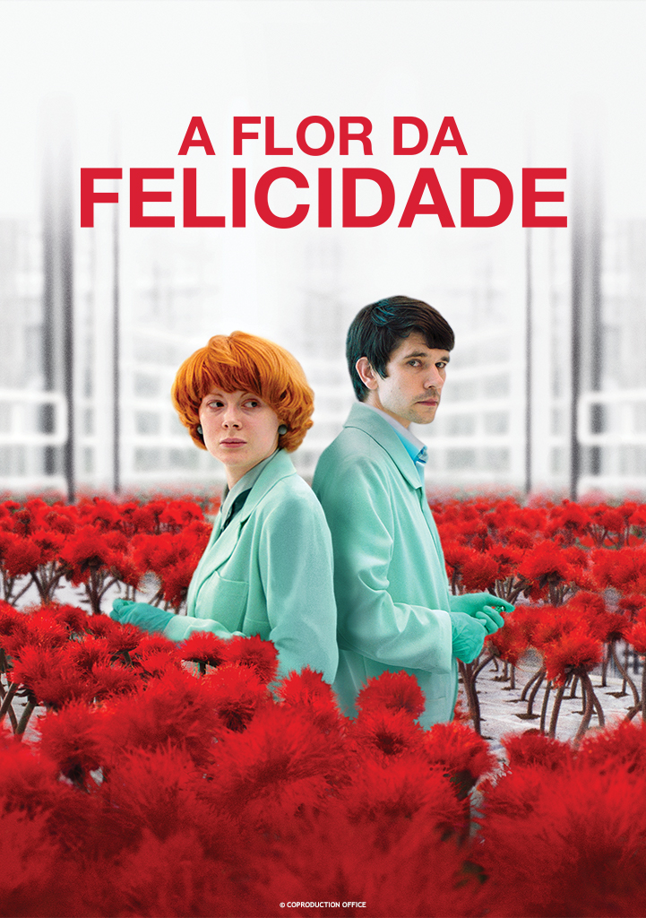 Capa A Flor Da Felicidade