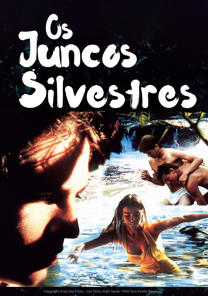 Capa Os Juncos Silvestres