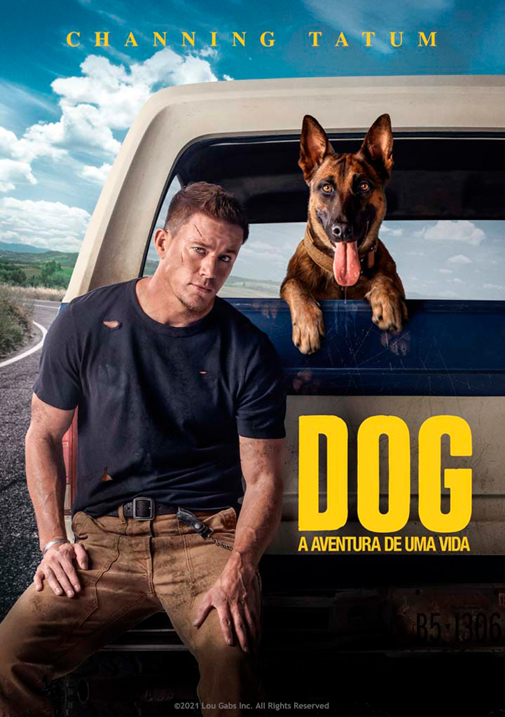 Capa Dog: A Aventura de uma Vida