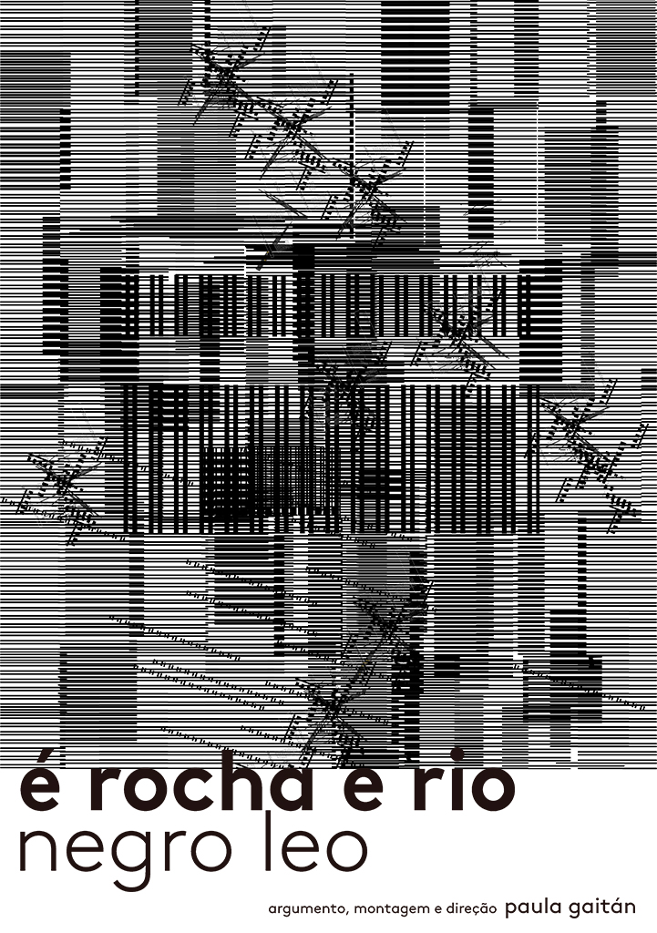 Capa É Rocha E Rio, Negro Leo