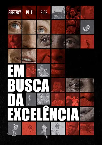 Capa Em Busca da Excelência
