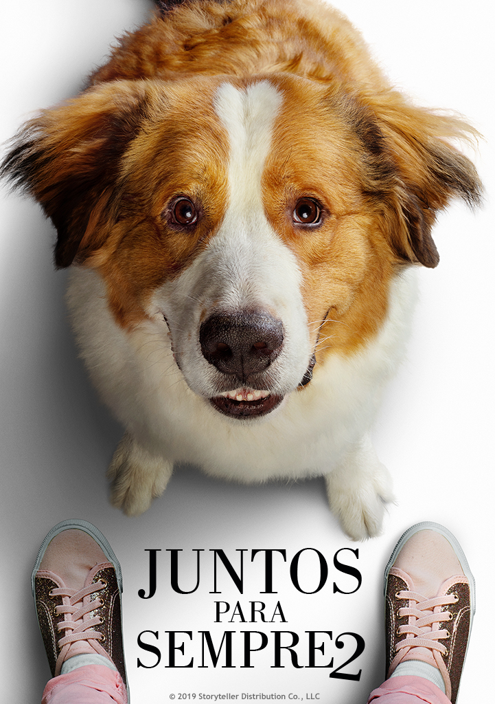 Capa Juntos Para Sempre 2