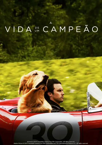 Capa A Vida De Um Campeão