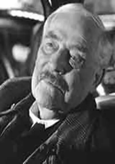 Capa Morangos Silvestres