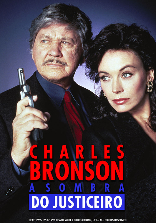 Capa A Sombra do Justiceiro