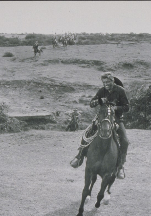 Capa Vera Cruz