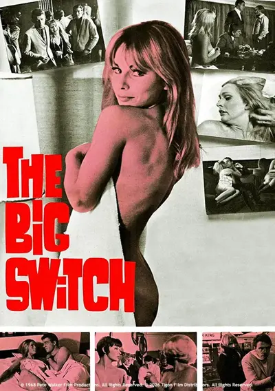 Capa The Big Switch