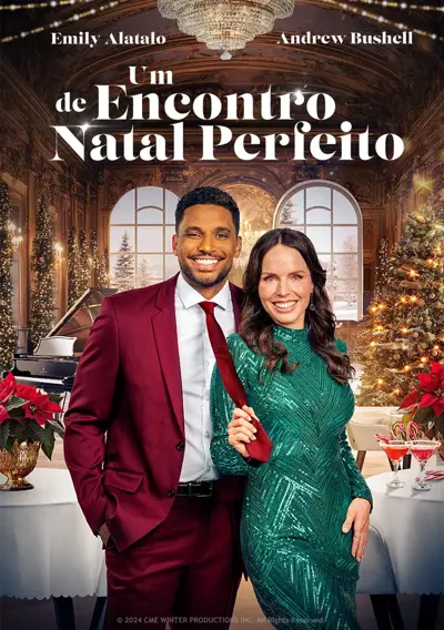 Um Encontro de Natal Perfeito
