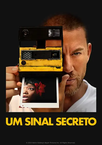 capa Um Sinal Secreto